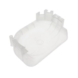 Bacinella raccoglicondensa