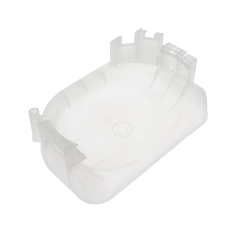 Bacinella raccoglicondensa