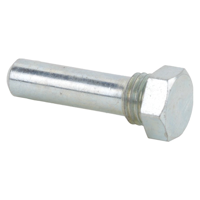 Perno della cerniera